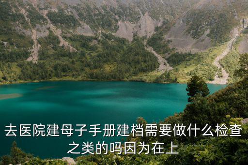 去醫(yī)院建母子手冊建檔需要做什么檢查之類的嗎因為在上