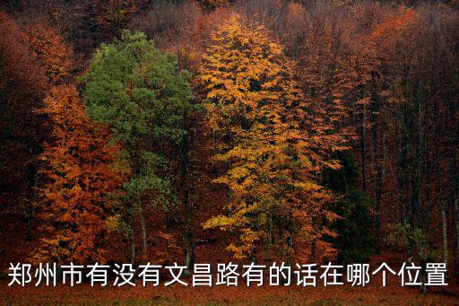 鄭州市有沒有文昌路有的話在哪個位置