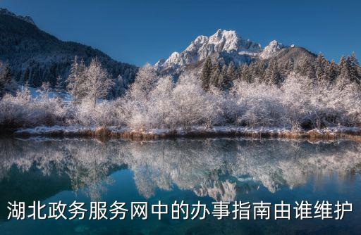 湖北政務服務網中的辦事指南由誰維護