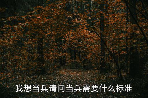 我想當(dāng)兵請(qǐng)問(wèn)當(dāng)兵需要什么標(biāo)準(zhǔn)