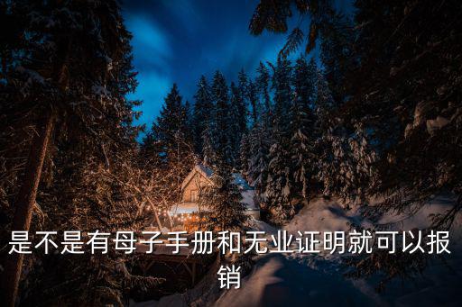 是不是有母子手冊和無業(yè)證明就可以報銷