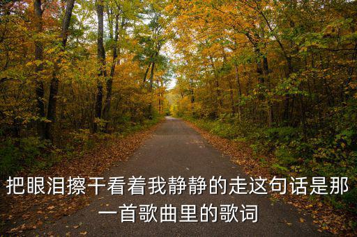 把眼淚擦干看著我靜靜的走這句話是那一首歌曲里的歌詞
