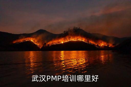 武漢PMP培訓哪里好