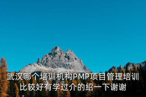 武漢哪個培訓機構PMP項目管理培訓比較好有學過介的紹一下謝謝