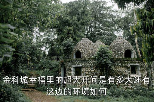 金科城幸福里的超大開間是有多大還有這邊的環境如何