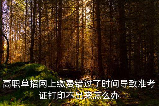 高職單招網上繳費錯過了時間導致準考證打印不出來怎么辦