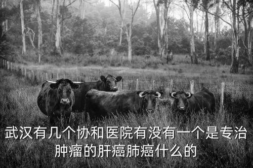 武漢有幾個協和醫院有沒有一個是專治腫瘤的肝癌肺癌什么的