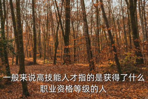 一般來說高技能人才指的是獲得了什么職業(yè)資格等級的人