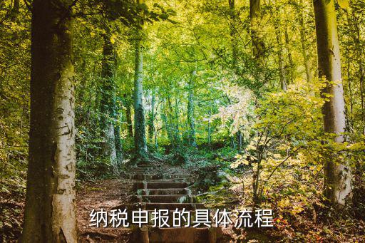 納稅申報的具體流程