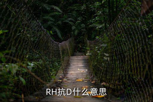 RH抗D什么意思