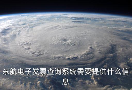 東航電子發(fā)票查詢系統(tǒng)需要提供什么信息