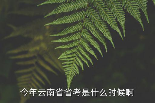 今年云南省省考是什么時(shí)候啊