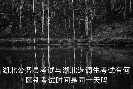 湖北選調生考試，湖北公務員考試與湖北選調生考試有何區別考試時間是同一天嗎