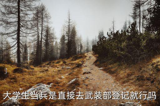 大學生當兵是直接去武裝部登記就行嗎