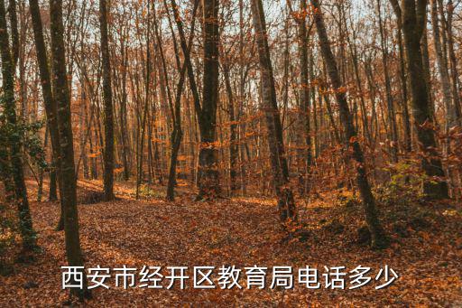 西安市經開區教育局電話多少