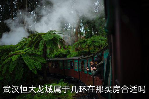 武漢恒大龍城屬于幾環在那買房合適嗎