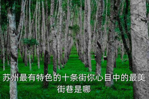 葑門橫街，蘇州有幾個像葑門橫街這樣的大型菜市場