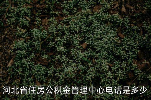 河北省住房公積金管理中心電話是多少