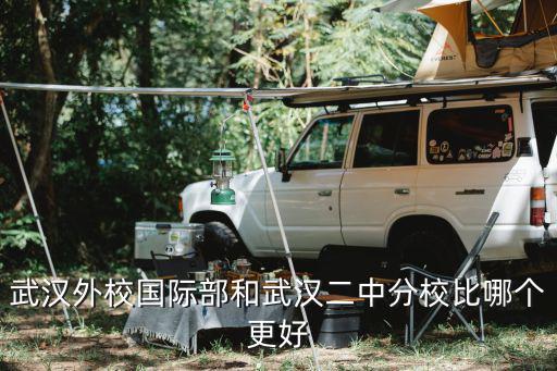 武漢外校國(guó)際部和武漢二中分校比哪個(gè)更好