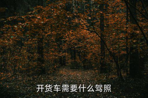 開貨車需要什么駕照