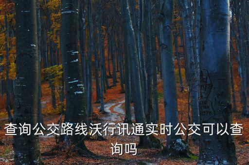 查詢公交路線沃行訊通實時公交可以查詢嗎