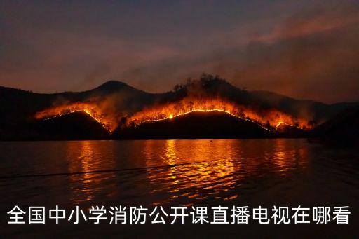 全國中小學(xué)消防公開課直播電視在哪看