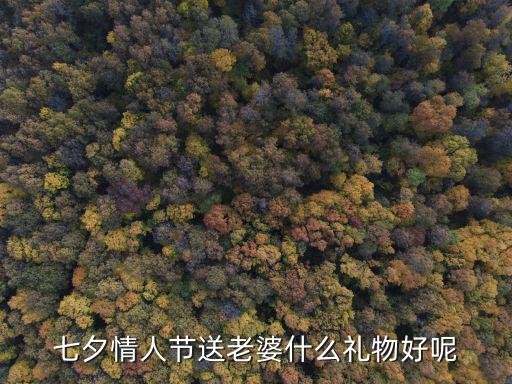 七夕情人節送老婆什么禮物好呢