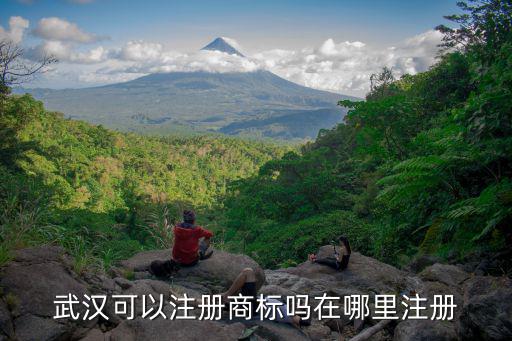 武漢可以注冊商標嗎在哪里注冊