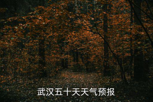 武漢五十天天氣預報