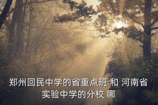 鄭州市回民中學，鄭州回民中學在哪