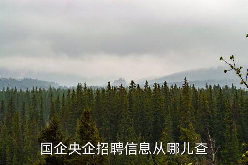 國(guó)企央企招聘信息從哪兒查