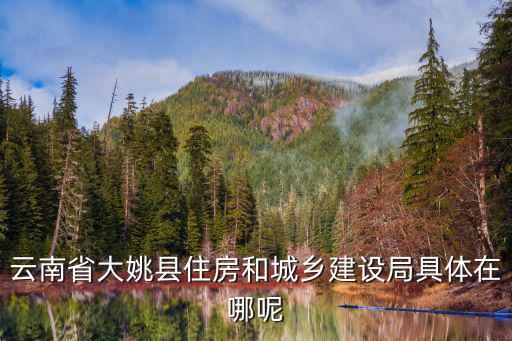 住房和建設局，云南省大姚縣住房和城鄉建設局具體在哪呢