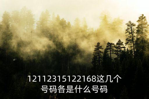12112315122168這幾個號碼各是什么號碼