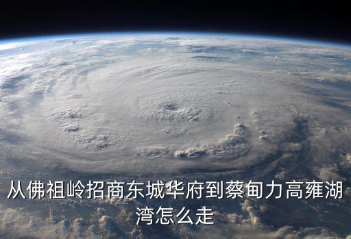 從佛祖嶺招商?hào)|城華府到蔡甸力高雍湖灣怎么走