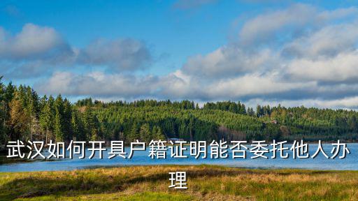 武漢如何開具戶籍證明能否委托他人辦理