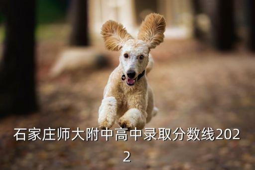 河北師大附中，河北師大附中高中升學(xué)率