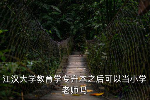 江漢大學教育學專升本之后可以當小學老師嗎