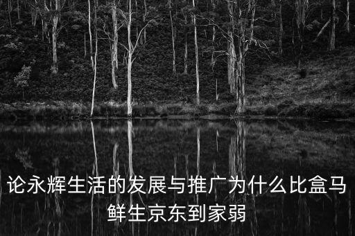 論永輝生活的發(fā)展與推廣為什么比盒馬鮮生京東到家弱