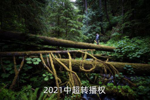 中超轉(zhuǎn)播，手機上下個什么APP 可以看中超直播