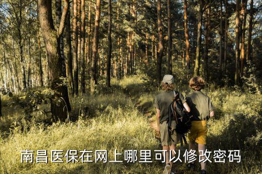 南昌醫保在網上哪里可以修改密碼