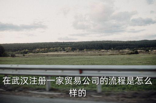 在武漢注冊一家貿(mào)易公司的流程是怎么樣的