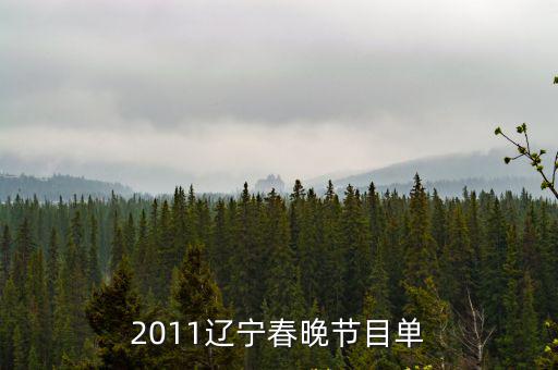 晚會節目單，春節晚會節目單