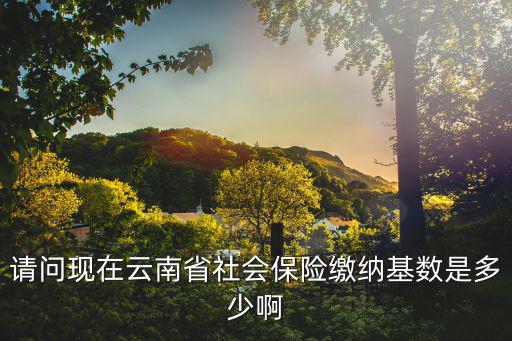 請問現在云南省社會保險繳納基數是多少啊