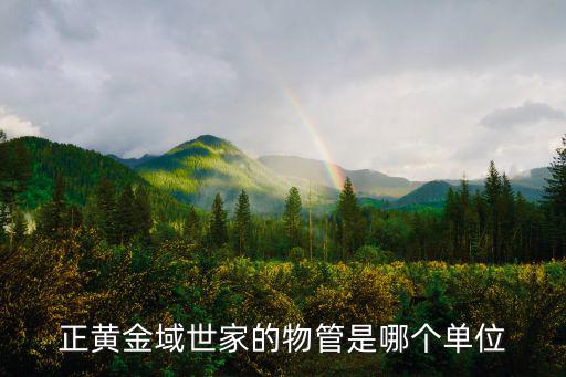 正黃金域世家的物管是哪個單位