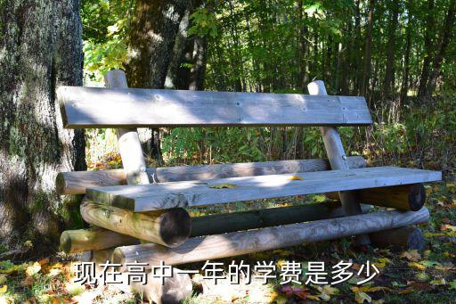 現在高中一年的學費是多少