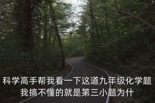 科學高手幫我看一下這道九年級化學題我搞不懂的就是第三小題為什