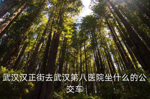 武漢漢正街去武漢第八醫院坐什么的公交車