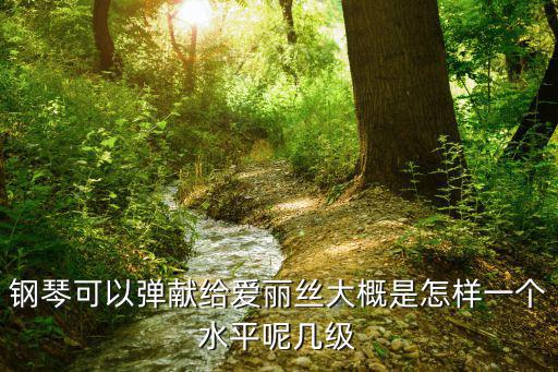 鋼琴可以彈獻給愛麗絲大概是怎樣一個水平呢幾級