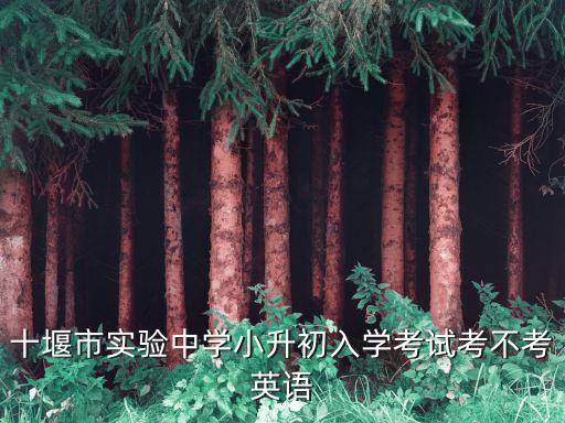 十堰市實驗中學小升初入學考試考不考英語