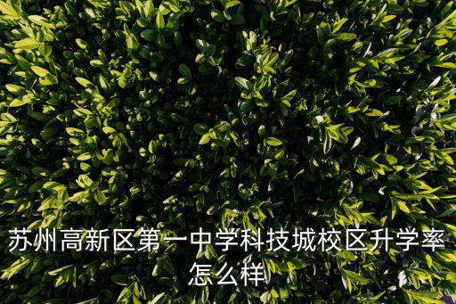 蘇州高新區第一中學，蘇州新區獅山實驗小學新區一中對比園區的星港小學星港中學哪